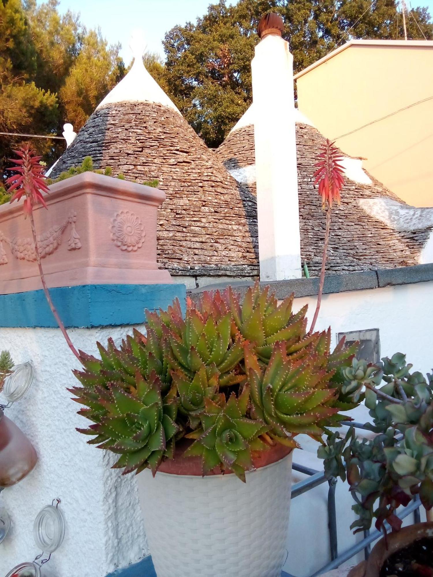 Casa Da Luisa Countryhouse Noci Luaran gambar